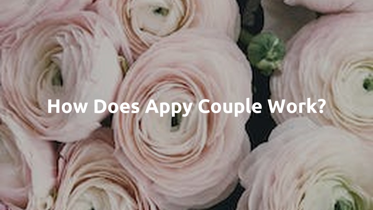 How does Appy couple work?