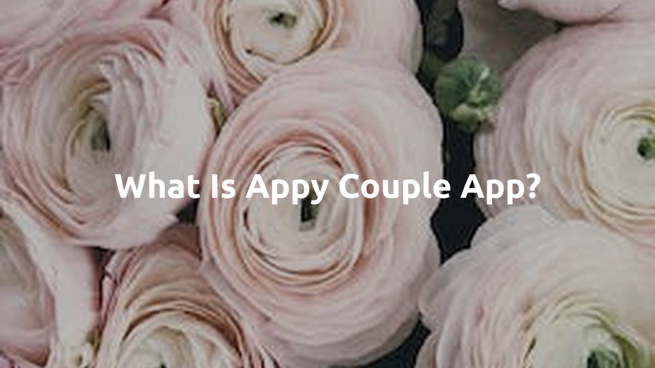 What is Appy Couple app?
