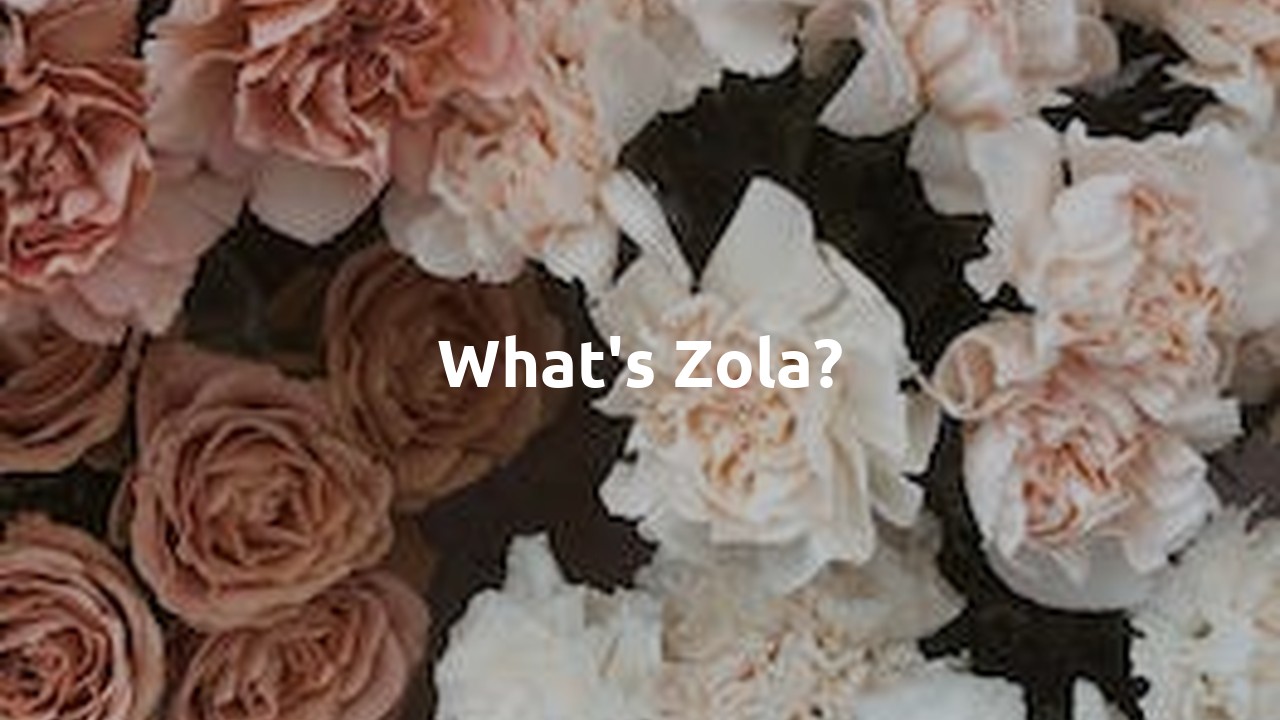 What's Zola?