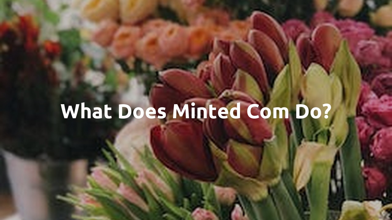 What does minted com do?